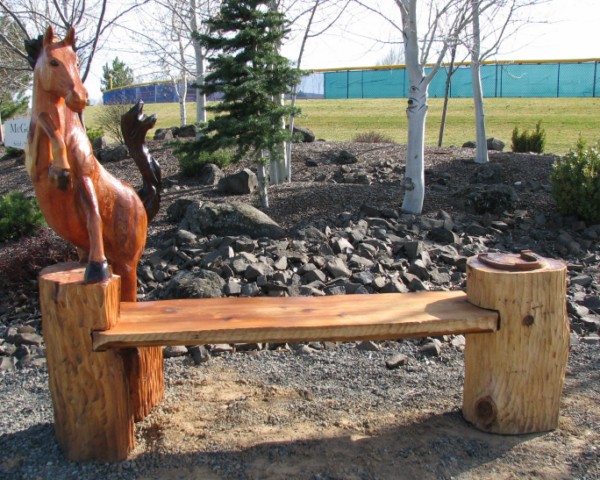 Grizzly Bear and Cabin Bench