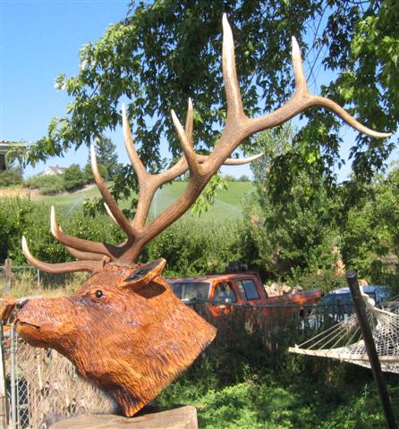 Wood Carved Elk Head Wall Mount with Rack