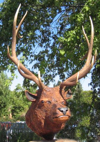 Chainsaw Elk Head with Antlers