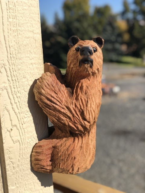 Climbing Bears