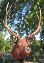 Elk Head Wall Mount
