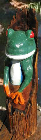 Red Eyed Tree Frog