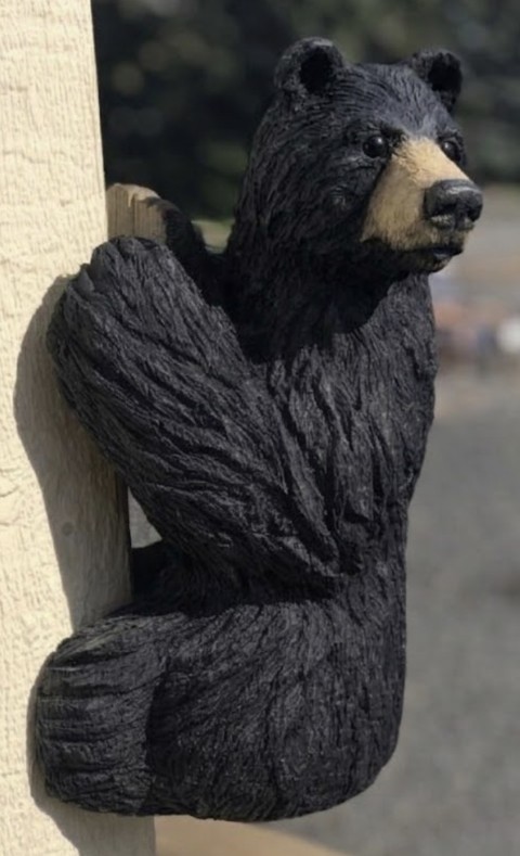 Black Climbing Bear