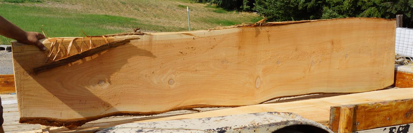 Cedar Slab