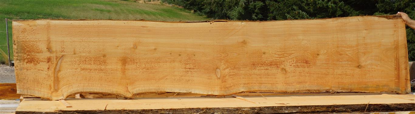 Cedar Slab