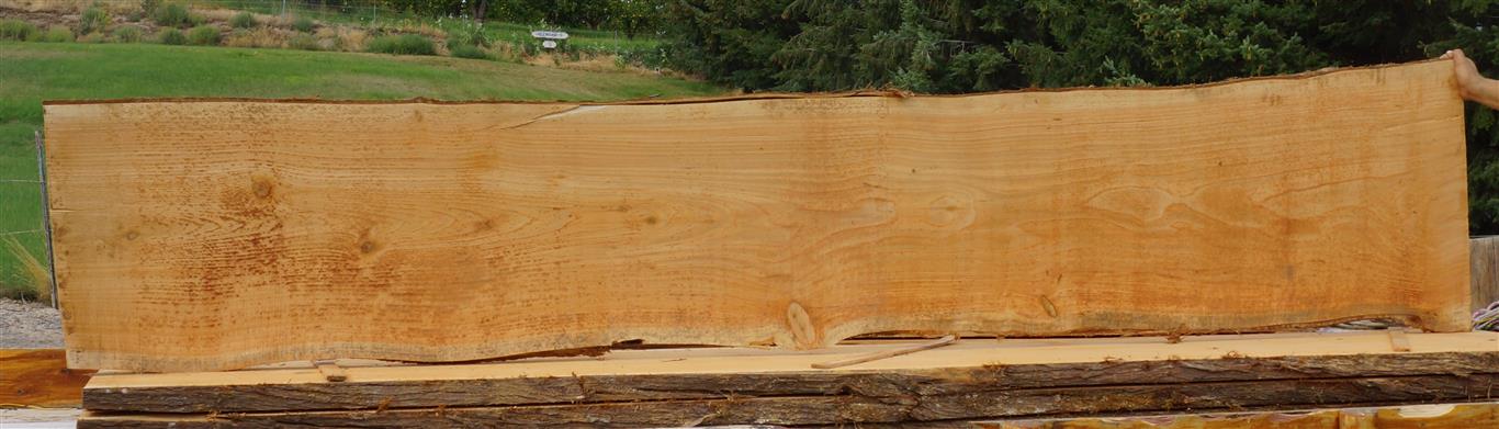 Cedar Slab