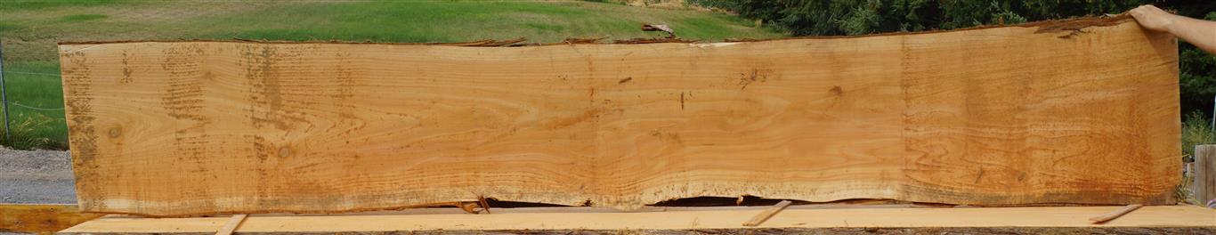 Cedar Slab