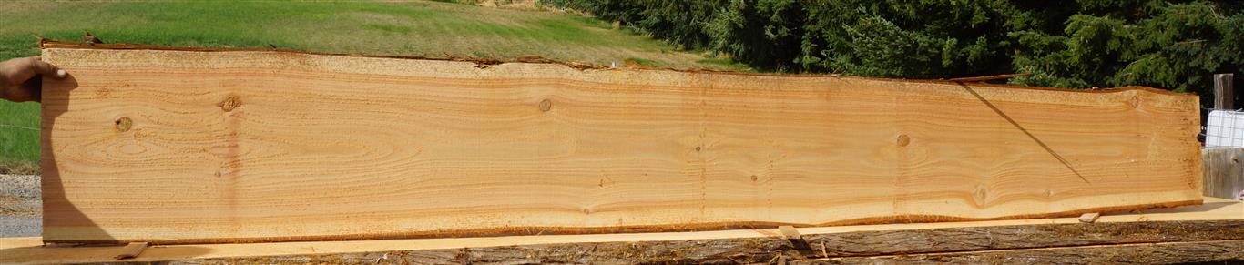 Cedar Slab