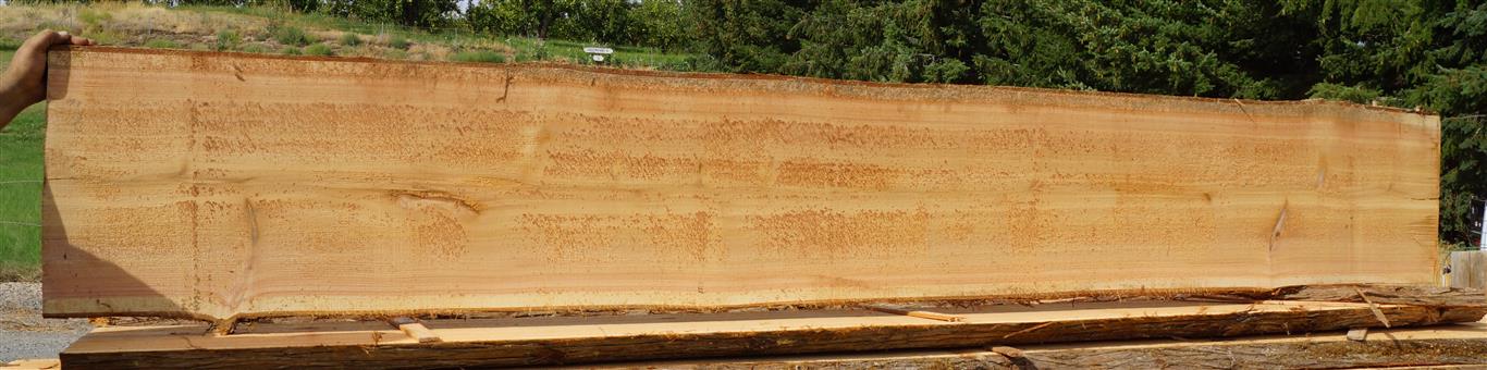 Cedar Slab