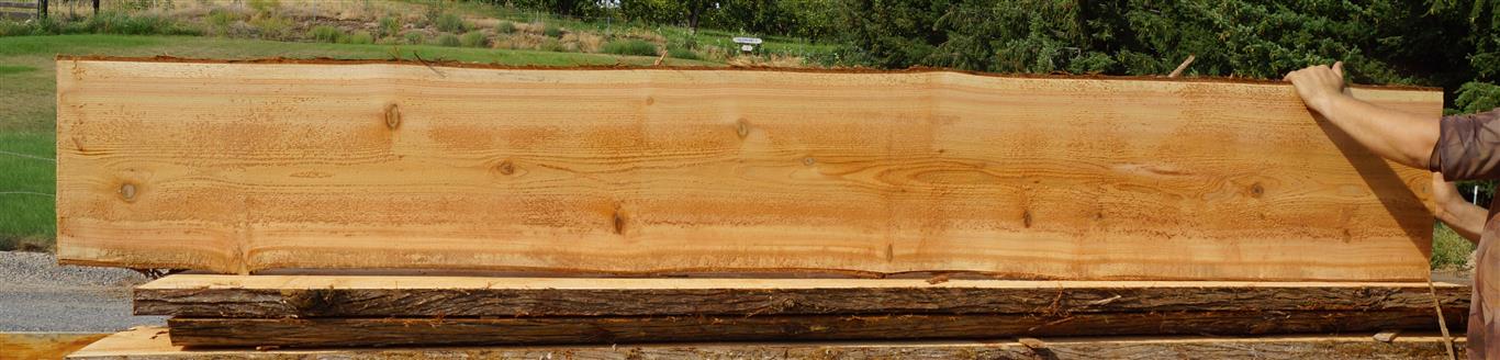 Cedar Slab