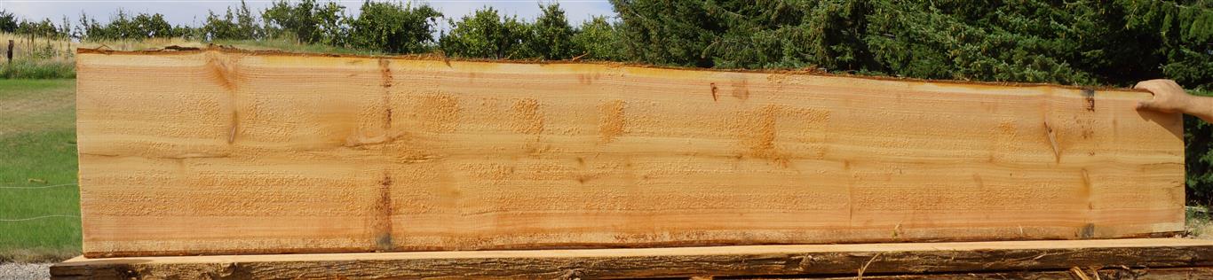 Cedar Slab