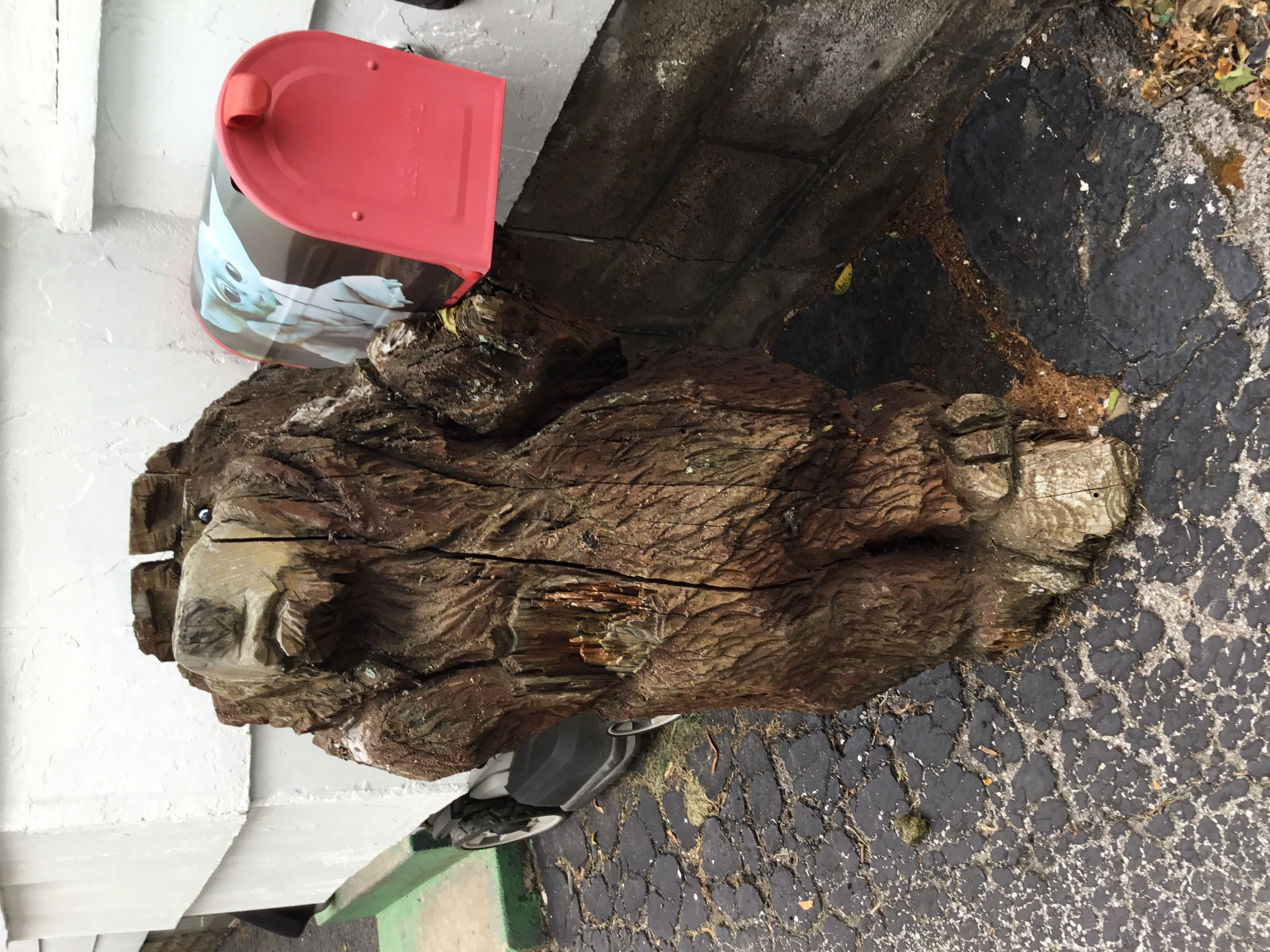 Custom Mailbox Bear