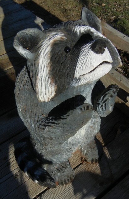 Raccoon